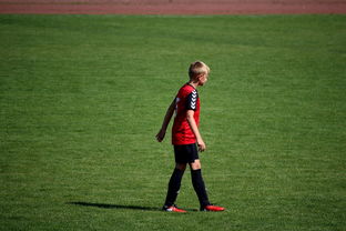 九游下载官网-中国足球职业俱乐部球员转会市场活跃度提升，中国足球协会球员身份与转会管理规定